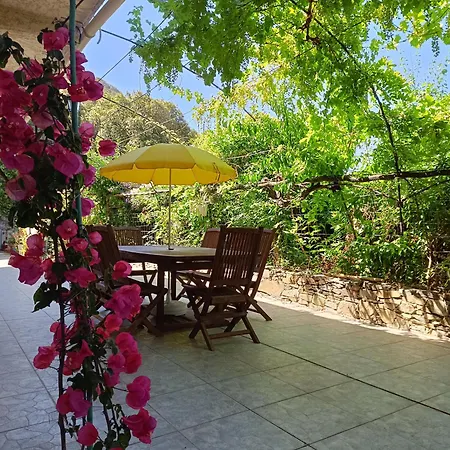Apartamento Avec Terrasse Vue Sur